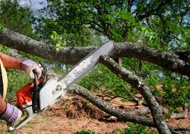 Best Lawn Maintenance Plans  in Norwich, CT